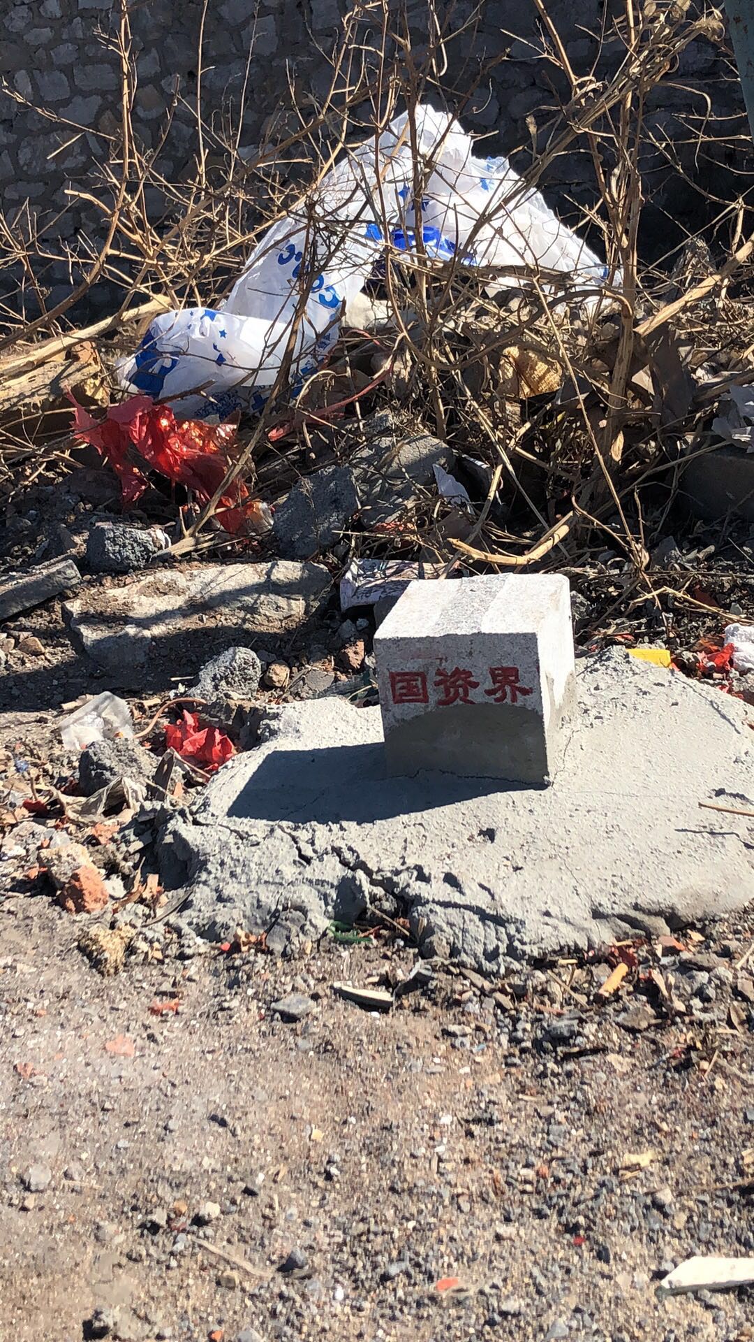 大连装备资产部全力稳步推进金重集团非经营性资产土地确权工作1.jpg